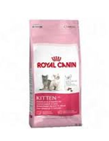 royal kitten second age