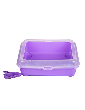 purple litter box