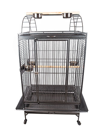 parrot cages online