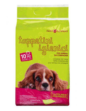 Farm Company Hygienic Carpets 60*90 cm