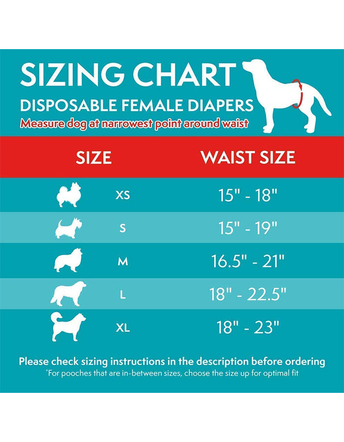 Simple Solution Disposable Dog Diapers Small 12 pc - Dogs Cleaning & Potty product