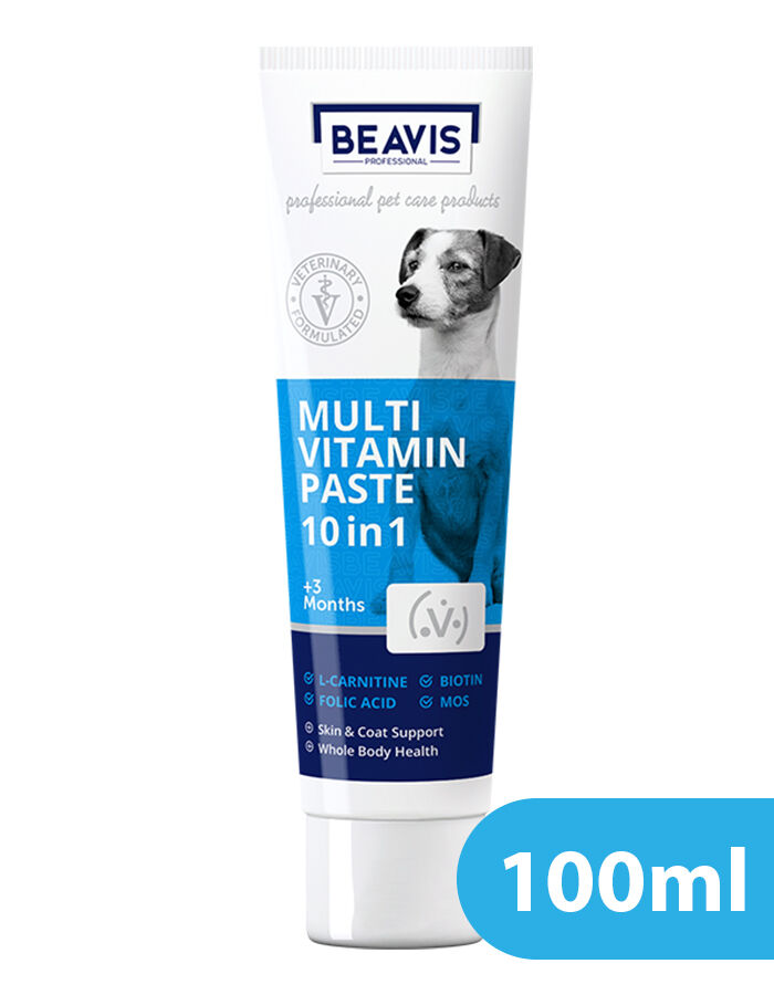 Is Folic Acid Ok For Dogs