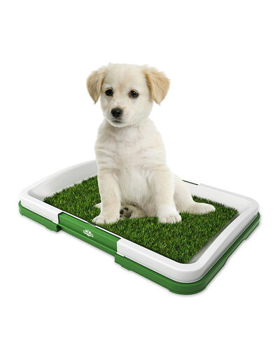 Shop Animall Perfect Pets Puppy Potty Pad Petsmarket Kuwait