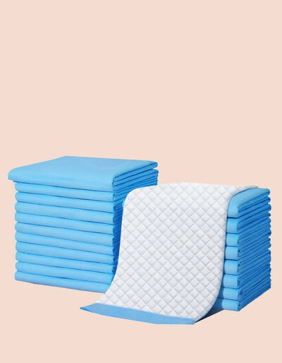 Pet Pal Dog Healthy Nappy Training Pee Pad Small 20pc Petsmarket