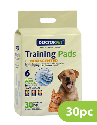 Pet Training Take Care Premium Training Pads 50pcs Petter Care