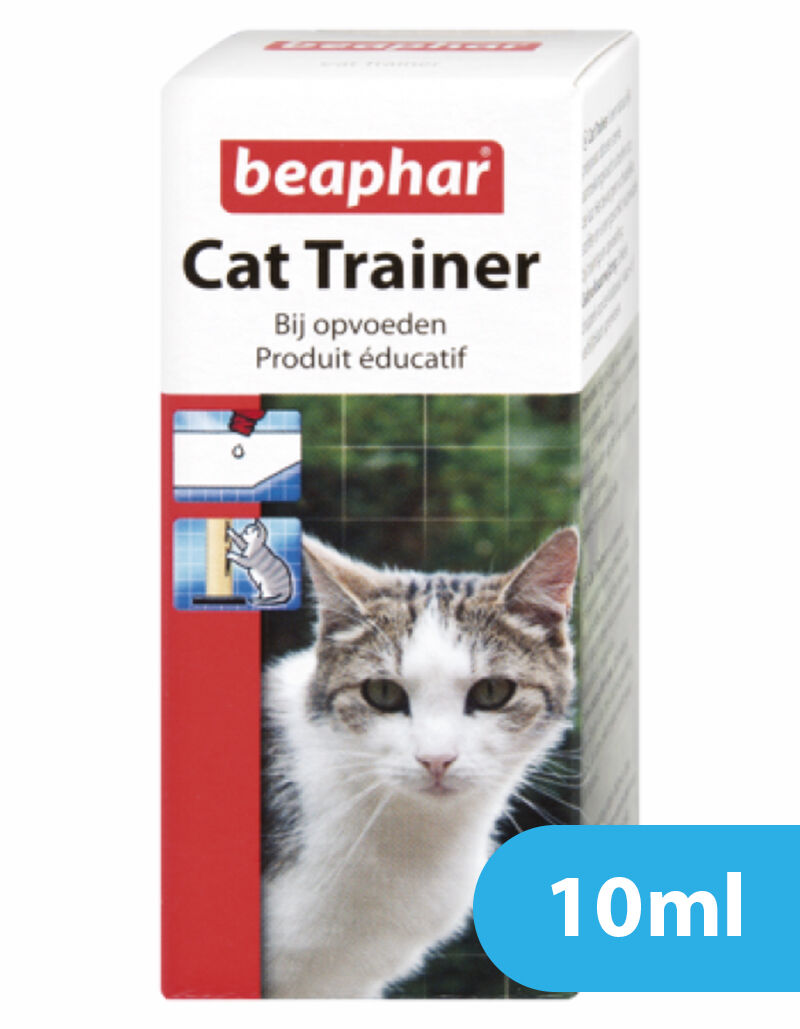 Cat Trainer: Unlock Your Feline's Hidden Potential